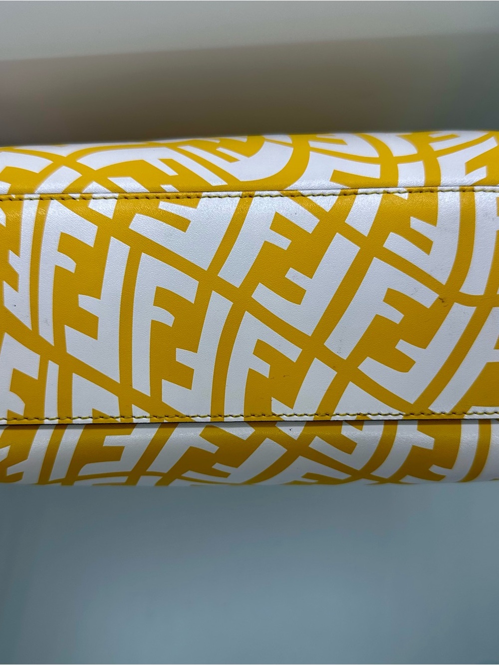 FENDI X SARAH COLEMAN Vertigo Peekaboo With Strap and Rain Cover - Picture 13 of 16